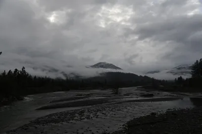 DSC_6780 (Large).JPG